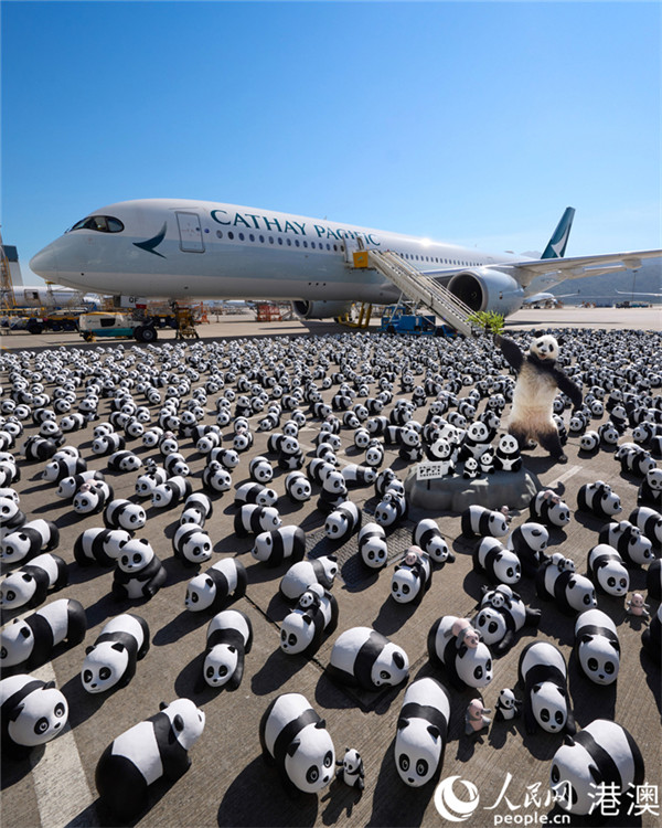 圖3.2500只大熊貓雕塑抵達(dá)香港。主辦方供圖