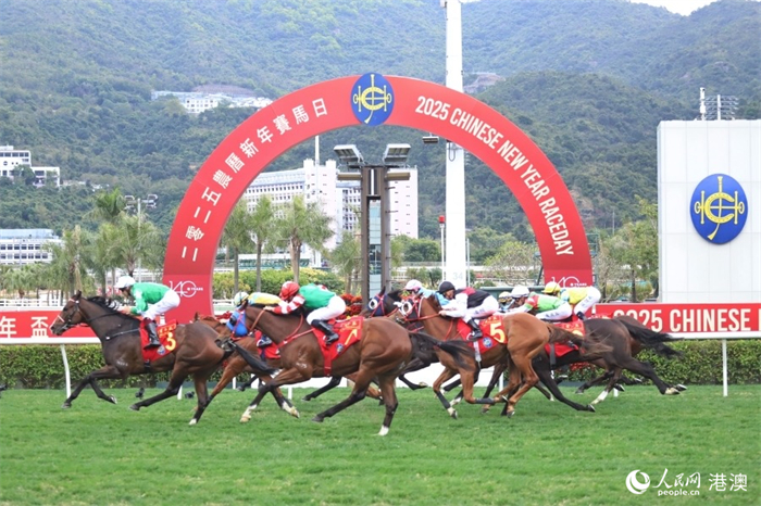 當(dāng)日焦點(diǎn)賽事“賀年杯”。人民網(wǎng) 吳宇揚(yáng)揚(yáng)攝