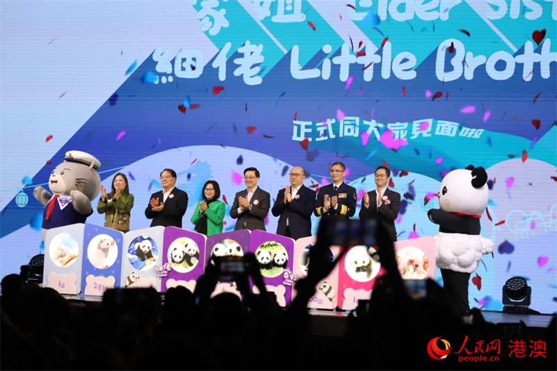 “大熊貓龍鳳胎寶寶亮相儀式”在港舉行。人民網(wǎng) 吳宇揚揚攝