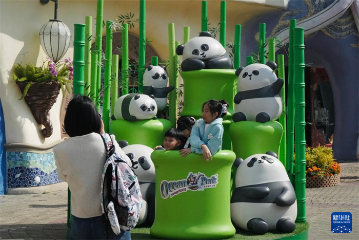 游客在香港海洋公園內(nèi)的一處大熊貓卡通裝置“打卡”拍照（2025年1月16日攝）。新華社記者 褚萌萌 攝