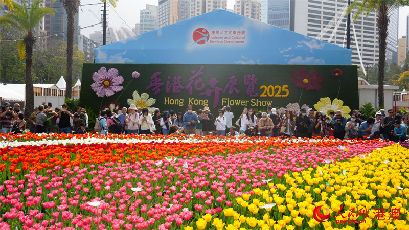 2025年香港花卉展覽開幕。人民網(wǎng) 嚴(yán)小晶攝