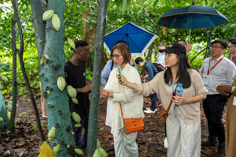 圖為中國企業(yè)家考察赤道幾內亞有關項目。澳門特區(qū)招商投資促進局供圖