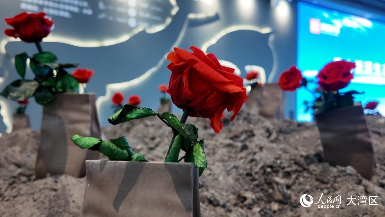 燃燒后廢渣上的永生玫瑰花。 人民網(wǎng) 周錦佳攝