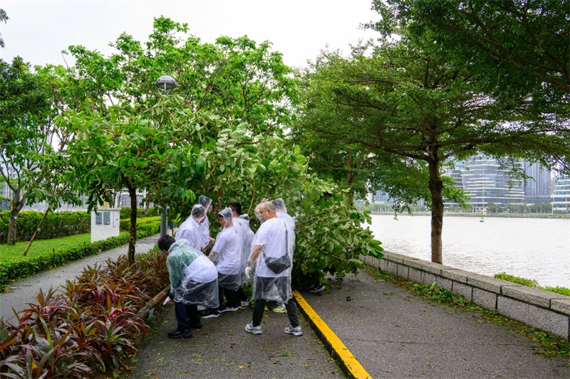 圖為公共部門風(fēng)后支援隊(duì)移除被吹倒的樹木。澳門特區(qū)新聞局供圖