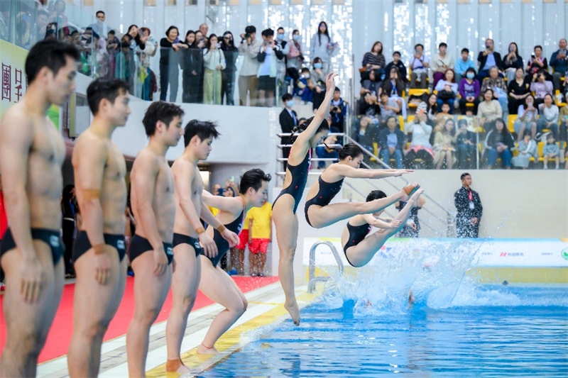 圖為“國家跳水夢之隊大匯演*活力行2025”精彩表演。主辦方供圖