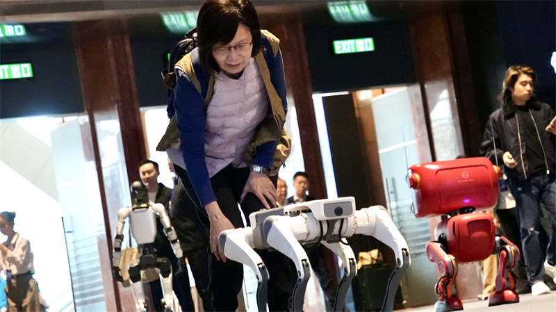 市民在現(xiàn)場(chǎng)與機(jī)器人互動(dòng)。人民網(wǎng) 吳宇揚(yáng)揚(yáng)攝
