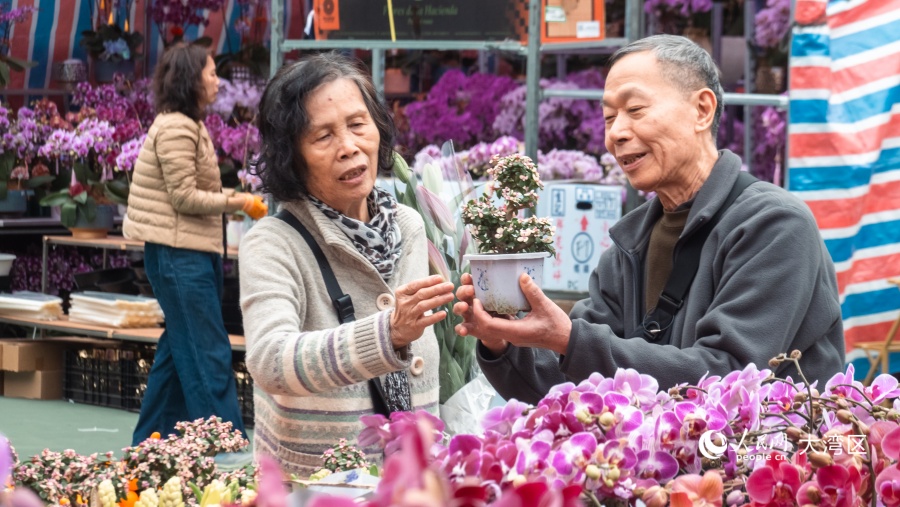 市民在攤位前選購(gòu)心儀的年花。人民網(wǎng) 吳宇揚(yáng)揚(yáng)攝