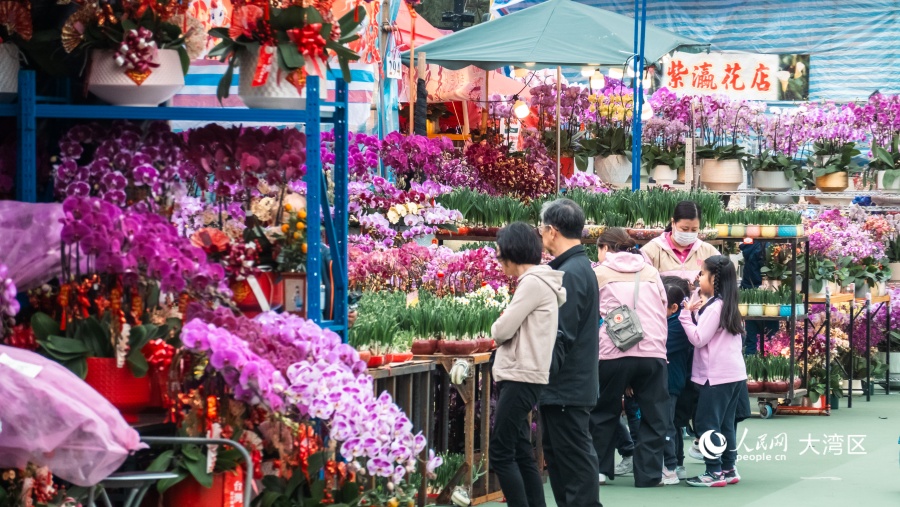市民駐足挑選年花。人民網(wǎng) 吳宇揚揚攝