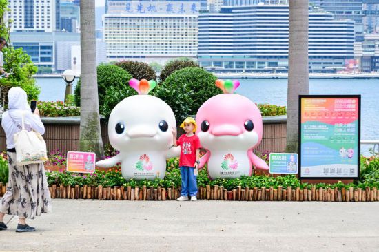 圖為一名兒童在香港金紫荊廣場的第十五屆全國運(yùn)動(dòng)會(huì)吉祥物旁留影。新華社記者 朱煒 攝