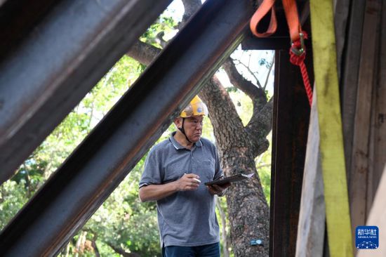 10月14日，香港古樹管理專家林妙成在九龍公園勘察大葉合歡古樹的情況。新華社記者 陳鐸 攝