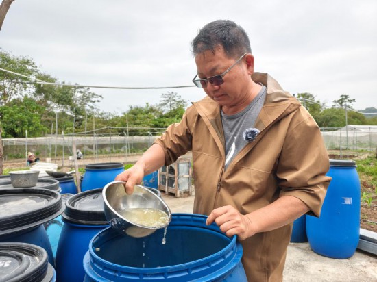 　　12月10日，在香港元朗石湖圍新村，鴻日農(nóng)莊主理人黃展明檢查自制酵素的成色。新華社記者 劉英倫 攝